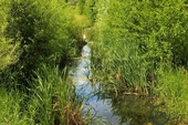 Wuhletal - 