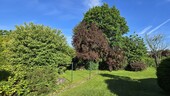 Der große Garten wird Sie begeistern - 