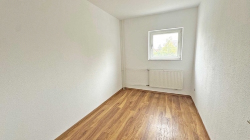 Zimmer-1 - 