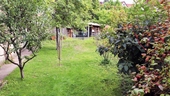Garten - 5 Zimmer Doppelhaushälfte zum Kaufen in Berlin