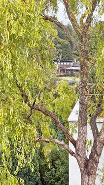 Seeblick---Dachterasse - 