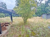 Garten - 3 Zimmer Grundstück zum Kaufen in Eichwalde