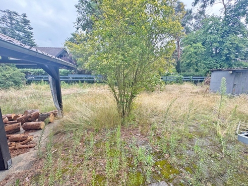 Garten - 3 Zimmer Grundstück zum Kaufen in Eichwalde