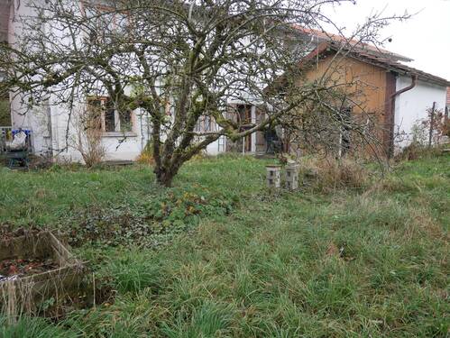 Garten - 