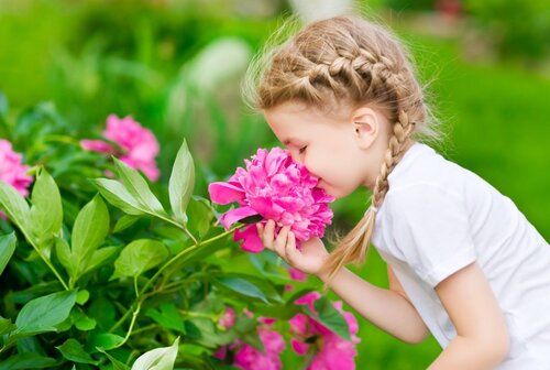 Kleines Mädchen Frühlingsblumen iStock- Mila Semenova - Einfamilienhaus mit 143,52 m² in Seelow zum Kaufen