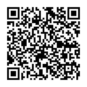 QR-Code - 