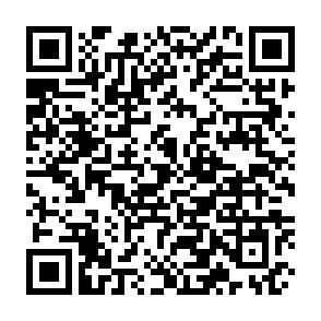 QR-Code - 