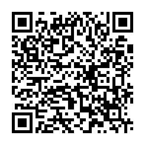 QR-Code - 