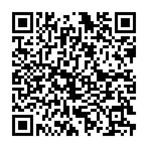 QR-Code - 