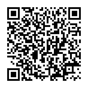 QR-Code - 
