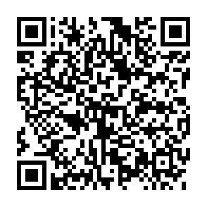 QR-Code - 