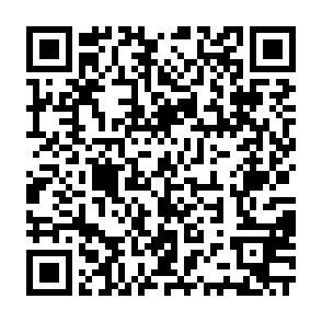 QR-Code - 