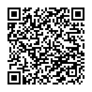 QR-Code - 
