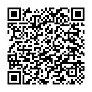 QR-Code - 