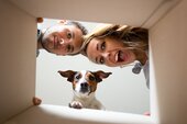 Foto - 5 Zimmer Einfamilienhaus zum Kaufen in Petershagen/Eggersdorf