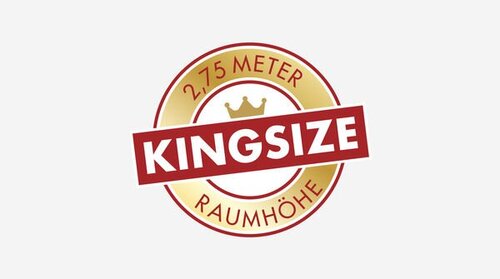 csm kingsize-logo-auf-grau fdbf - 