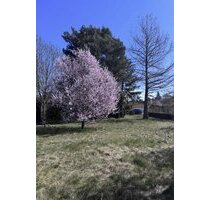 perfekt für Ihr Vorhaben - Baugrundstück und Ihr individuelles EFH - Oranienburg