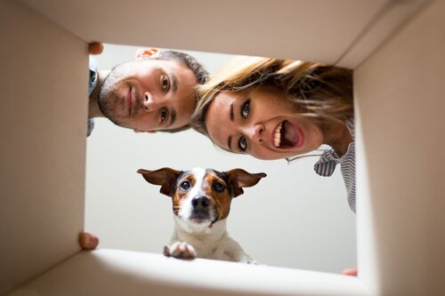 Foto - 5 Zimmer Einfamilienhaus zum Kaufen in Wandlitz