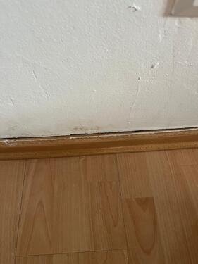 WhatsApp Image 2025-12-16 at 1 - 