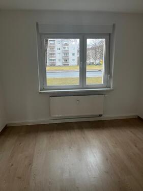 WhatsApp Image 2026-02-13 at 1 - 